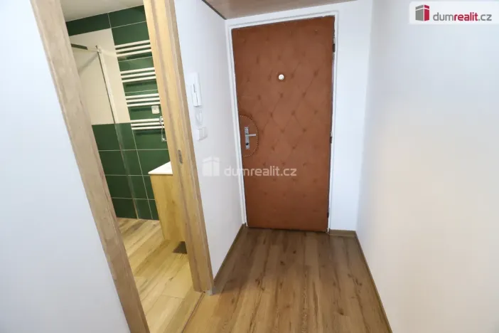 Pronájem bytu 1+1, Cheb, Americká, 36 m2