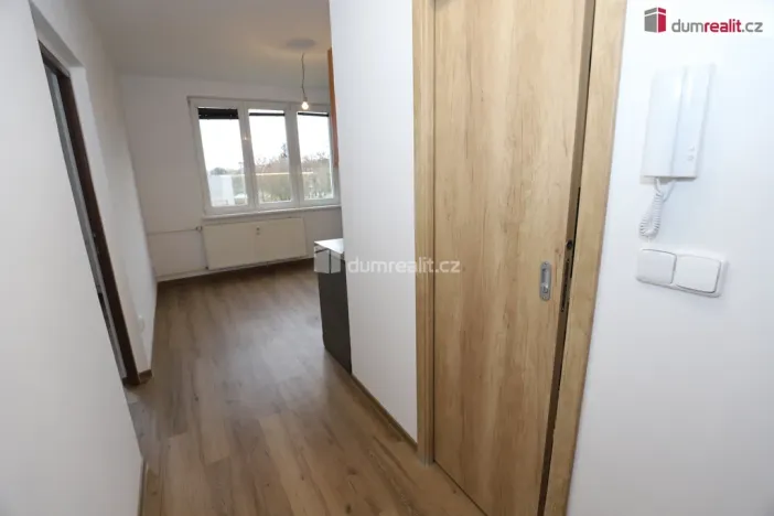 Pronájem bytu 1+1, Cheb, Americká, 36 m2