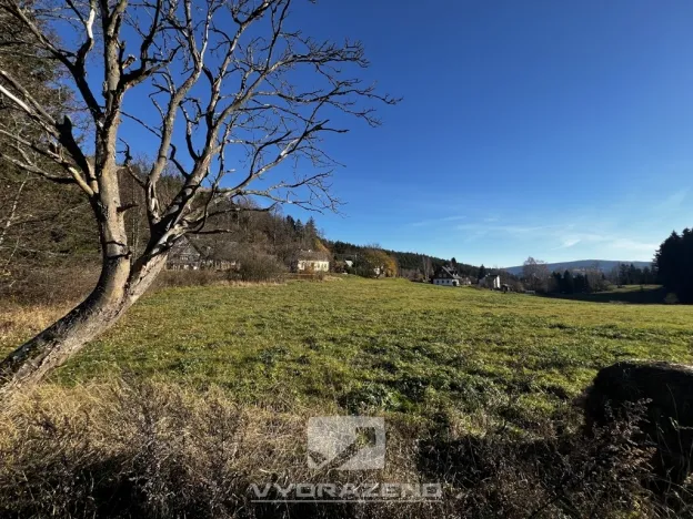 Prodej louky, Lučany nad Nisou, 2462 m2