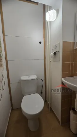 Prodej bytu 3+1, Opava, U Fortny, 73 m2