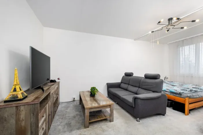 Prodej bytu 2+1, České Budějovice - České Budějovice 3, U Trojice, 63 m2