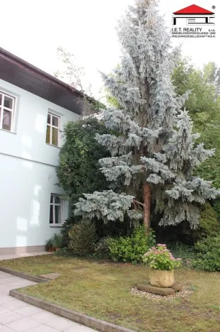 Pronájem bytu 1+kk, Brno, Bezručova, 20 m2