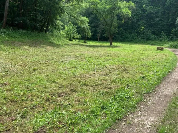 Prodej podílu 1/2 rodinného domu, Praha - Zadní Kopanina, Kavylová, 500 m2