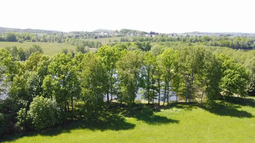 Prodej pole, Šluknov, 1989 m2