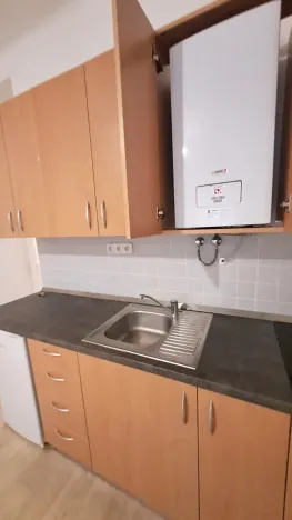 Pronájem bytu 1+kk, Praha - Braník, Pod vinohradem, 27 m2