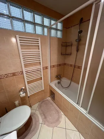 Pronájem bytu 1+1, Praha, 44 m2