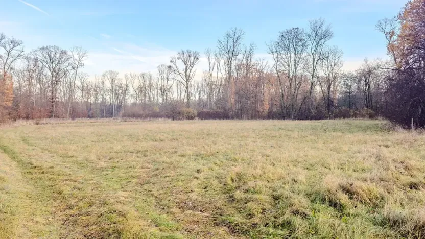 Prodej pole, Oseček, 76028 m2