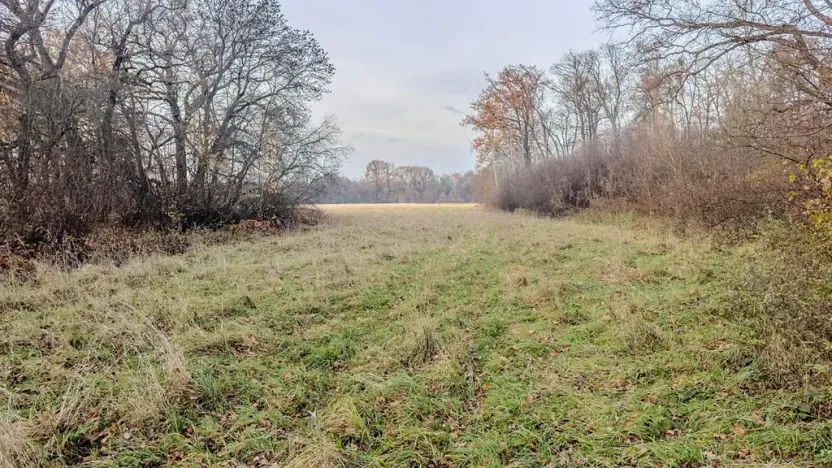 Prodej pole, Oseček, 76028 m2