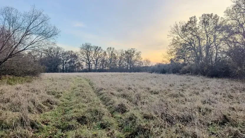 Prodej pole, Oseček, 76028 m2