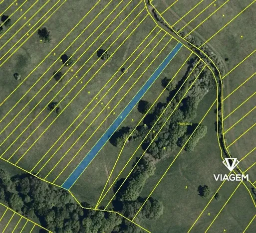 Prodej pole, Slavkov, 3173 m2