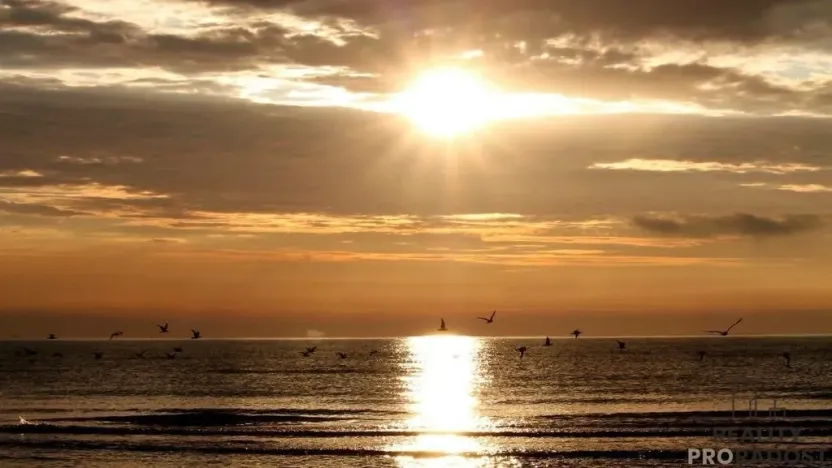 Prodej bytu 2+kk, Martinsicuro,Itálie, 40 m2