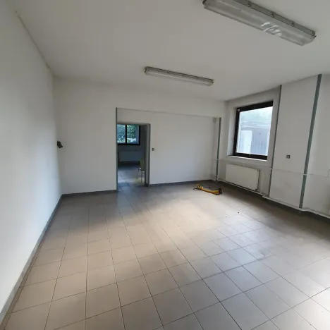 Prodej obchodního prostoru, Strážnice, 350 m2