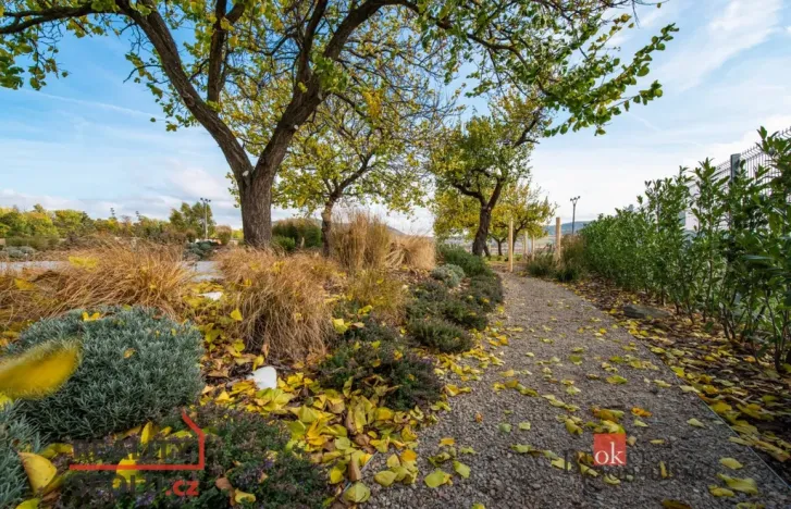 Prodej bytu 3+kk, Dolní Dunajovice, 60 m2