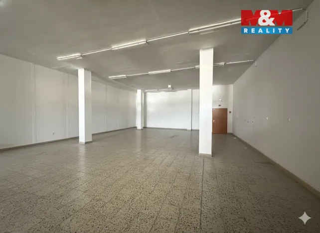 Pronájem obchodního prostoru, Štětí, Obchodní, 2000 m2