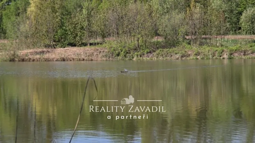 Prodej rybníku, Žabeň, 30500 m2
