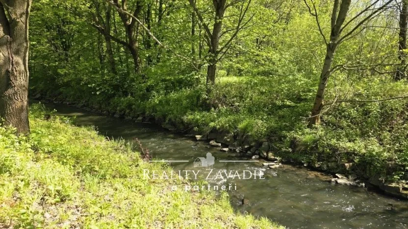 Prodej rybníku, Žabeň, 30500 m2