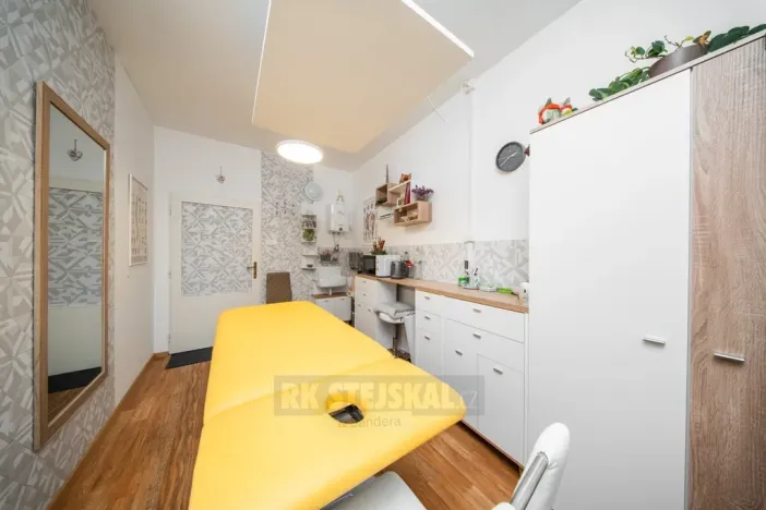 Prodej obchodního prostoru, České Budějovice - České Budějovice 3, J. Š. Baara, 41 m2