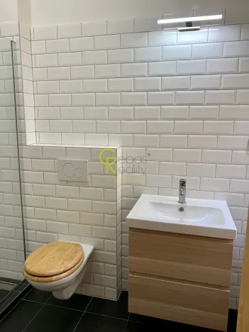 Pronájem bytu 1+1, Praha - Nové Město, Na výtoni, 41 m2