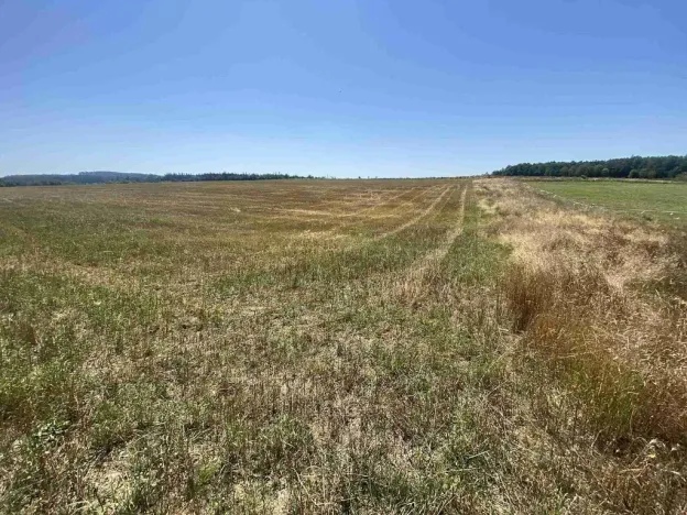 Prodej pole, Ostrovec - Dědovice, 34981 m2