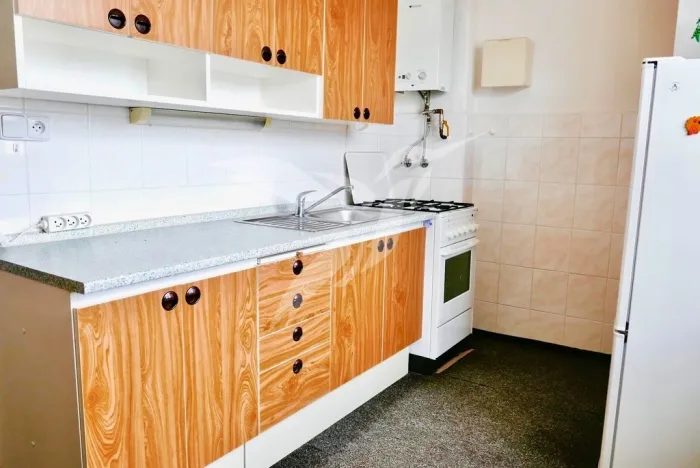 Prodej bytu 3+1, Plzeň, Rychtaříkova, 61 m2