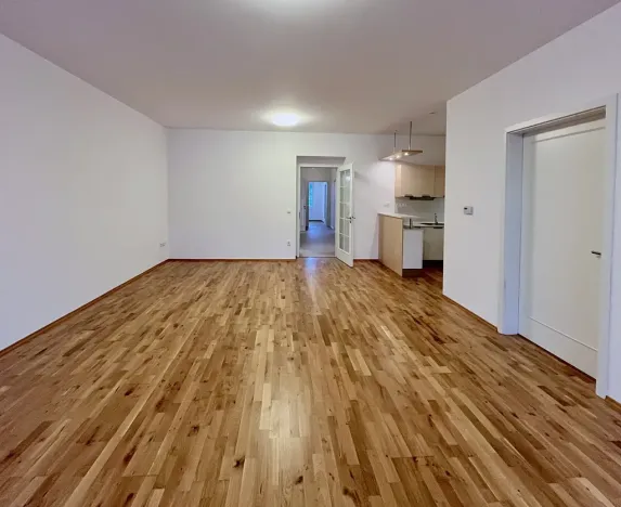 Pronájem bytu 3+1, Brno, Údolní, 106 m2