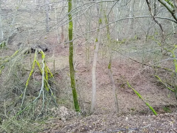 Prodej pozemku, Újezd u Svatého Kříže, 1239 m2