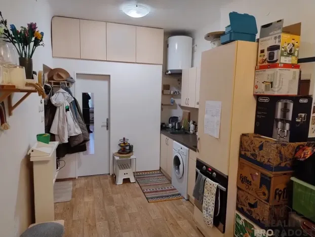 Pronájem bytu 1+kk, Brno - Veveří, Smetanova, 22 m2