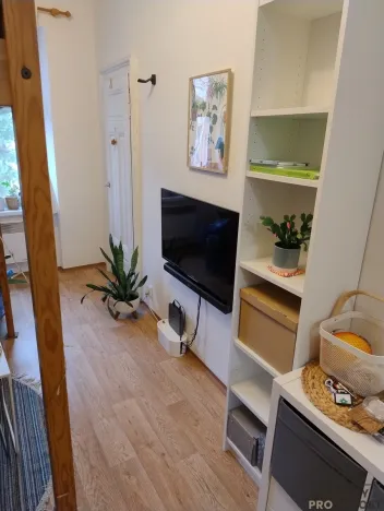 Pronájem bytu 1+kk, Brno - Veveří, Smetanova, 22 m2