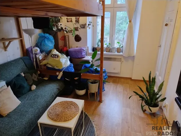 Pronájem bytu 1+kk, Brno - Veveří, Smetanova, 22 m2