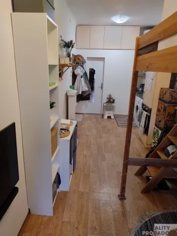 Pronájem bytu 1+kk, Brno - Veveří, Smetanova, 22 m2