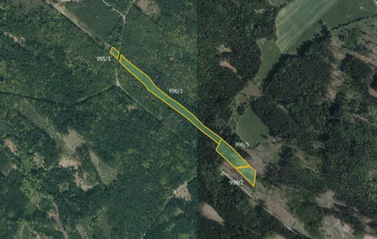 Prodej lesa, Horní Radouň, 21861 m2