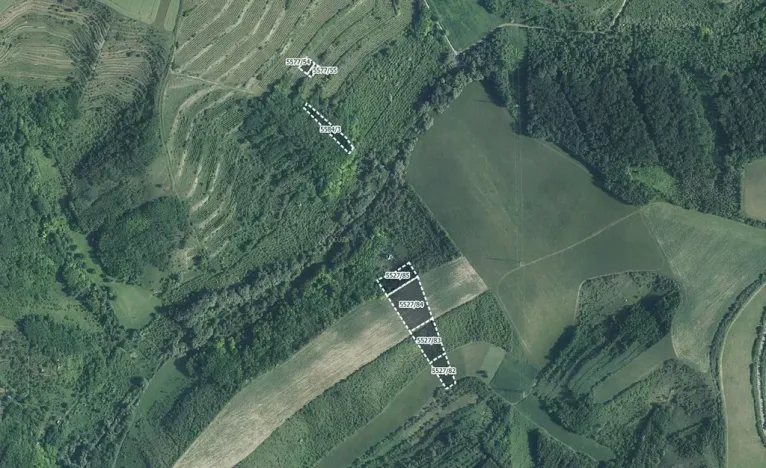 Prodej pole, Hustopeče, 9319 m2