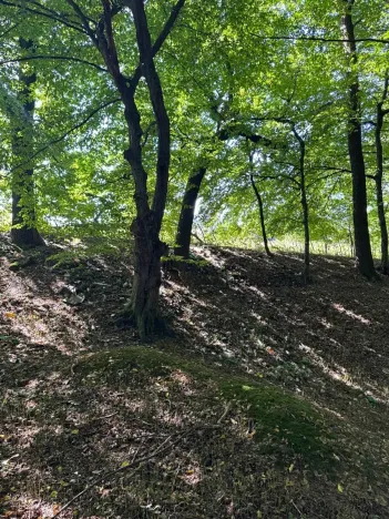 Prodej lesa, Ostrava, 8938 m2