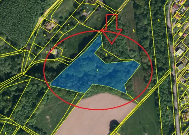 Prodej lesa, Ostrava, 8938 m2