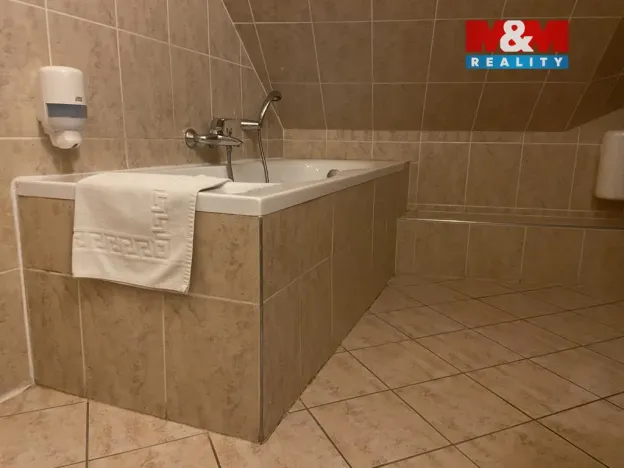 Pronájem bytu 4+kk, Plzeň - Vnitřní Město, Zbrojnická, 110 m2