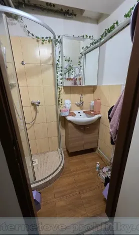 Pronájem pokoje, Praha - Holešovice, Bubenská, 16 m2