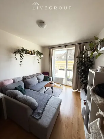 Pronájem bytu 2+kk, Brno, Přadlácká, 56 m2