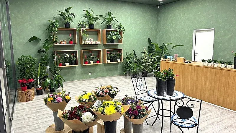 Pronájem obchodního prostoru, Brno, náměstí Svobody, 64 m2