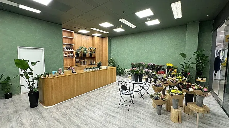 Pronájem obchodního prostoru, Brno, náměstí Svobody, 64 m2