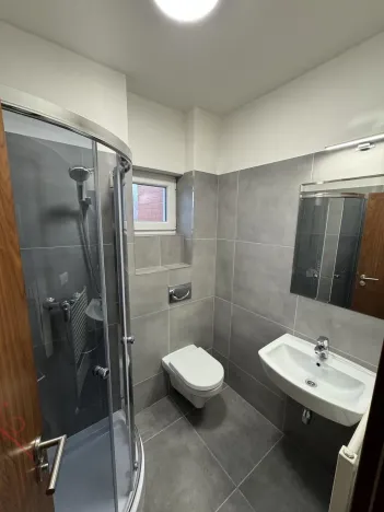 Pronájem rodinného domu, Ostrava - Muglinov, V Hruškovém Sadu, 196 m2