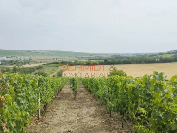 Prodej sadu/vinice, Kobylí, 1799 m2