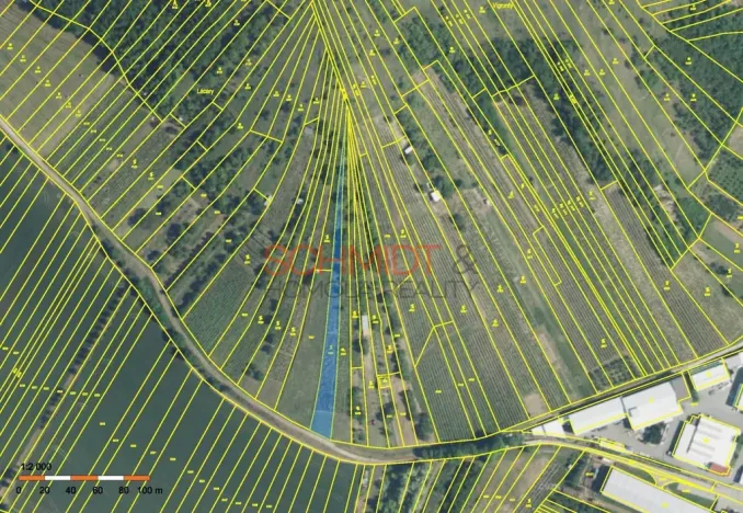 Prodej sadu/vinice, Kobylí, 1799 m2