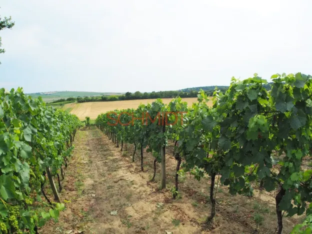 Prodej sadu/vinice, Kobylí, 1799 m2