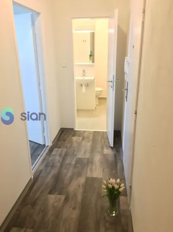 Pronájem bytu 2+1, Ostrava - Dubina, Jaroslava Misky, 44 m2