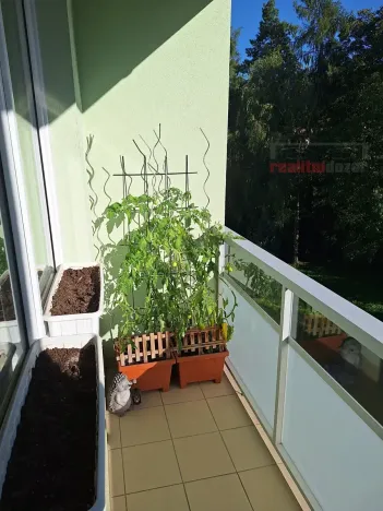 Prodej bytu 2+1, Brno, Jakuba Obrovského, 61 m2