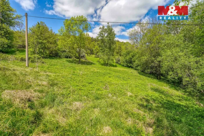 Prodej zahrady, Sušice - Nuzerov, 7751 m2