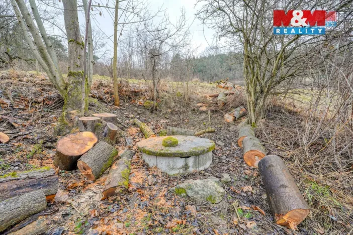 Prodej pozemku pro bydlení, Sušice - Nuzerov, 2649 m2