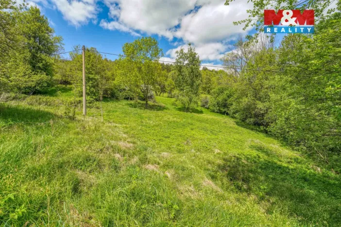 Prodej pozemku pro bydlení, Sušice - Nuzerov, 2649 m2