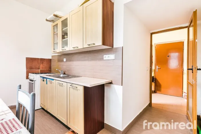 Prodej bytu 2+kk, Brno, Renneská třída, 58 m2