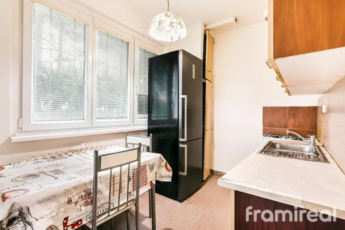 Prodej bytu 2+kk, Brno, Renneská třída, 58 m2